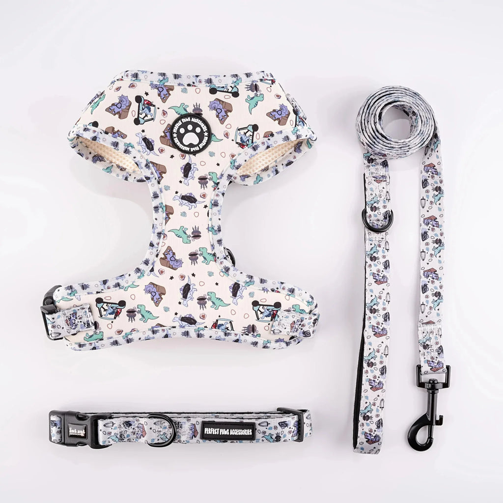 Adventure Cat Harness & Collar - Happy Tails - paws & love