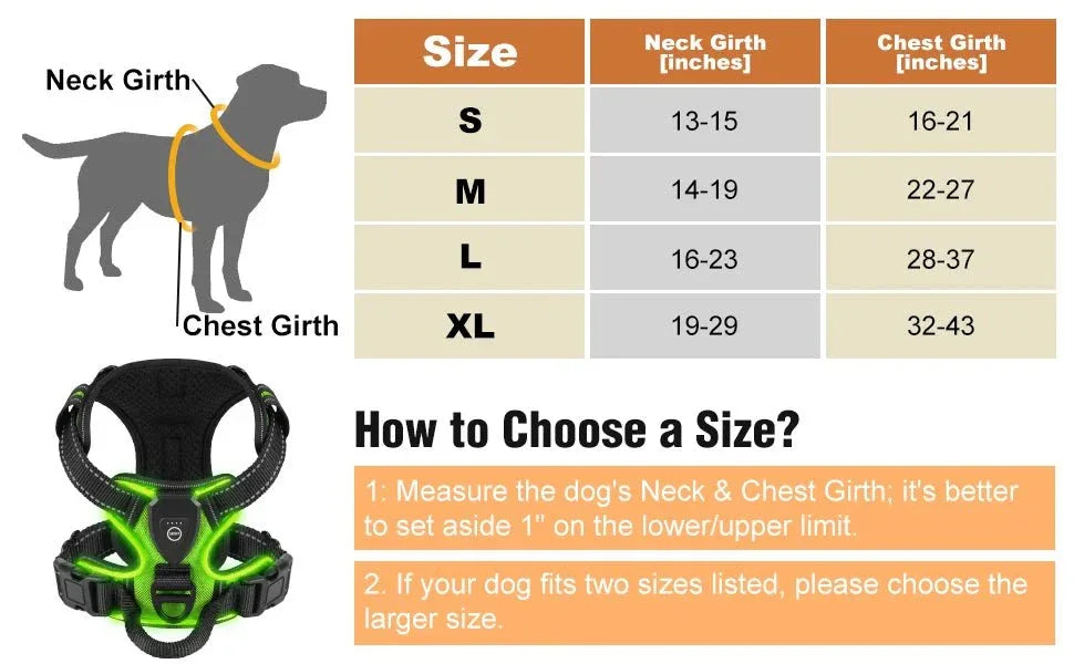 LED Dog Harness - Happy Tails - paws & love