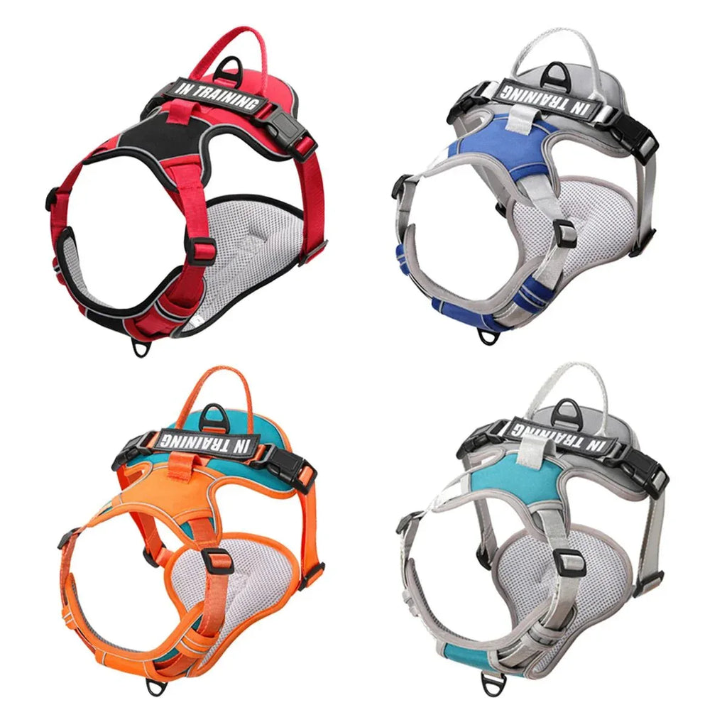 Dog Harness No Pull - Happy Tails - paws & love