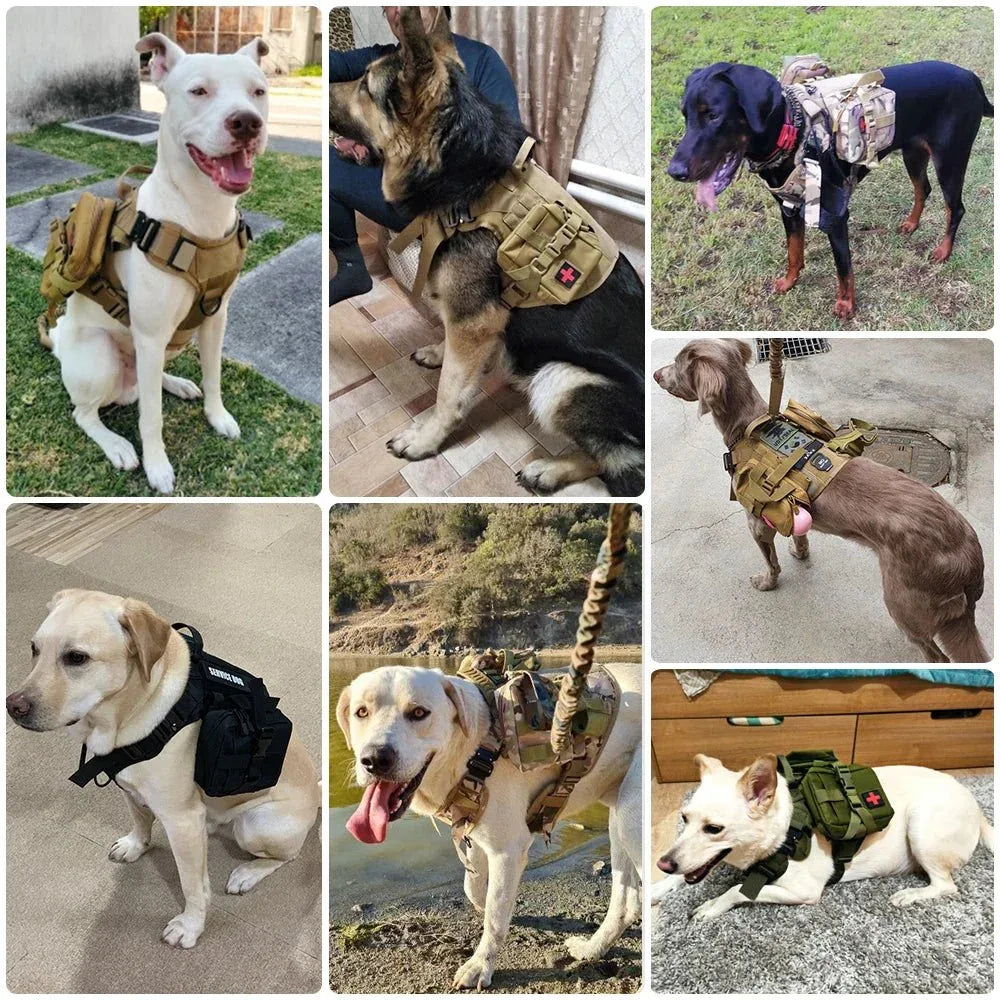 Military Dog Harness for Training - Happy Tails - paws & love