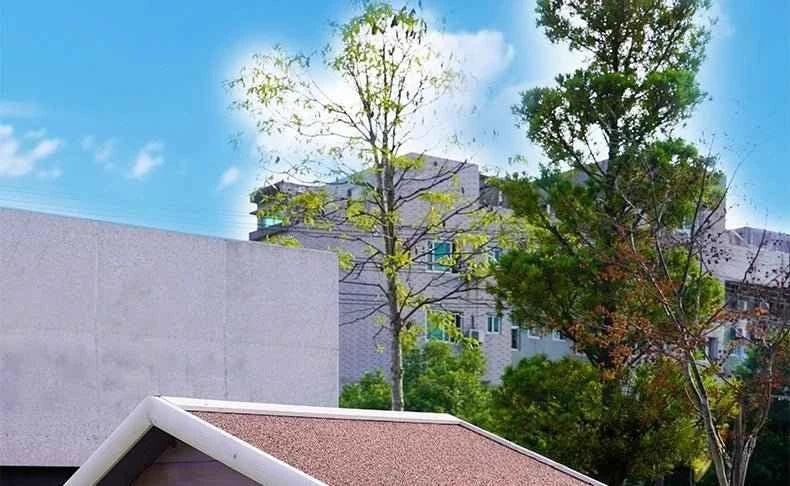 Large Solid Wood Dog House - Happy Tails - paws & love