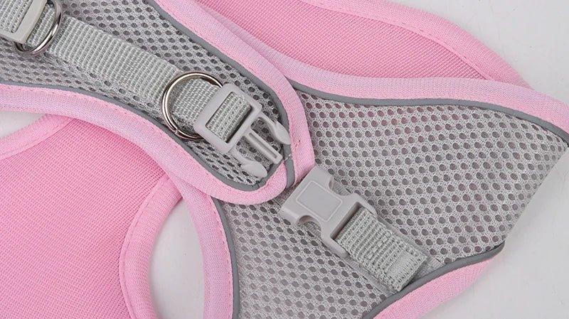 Leash & Harness Set for Small Dogs - Happy Tails - paws & love