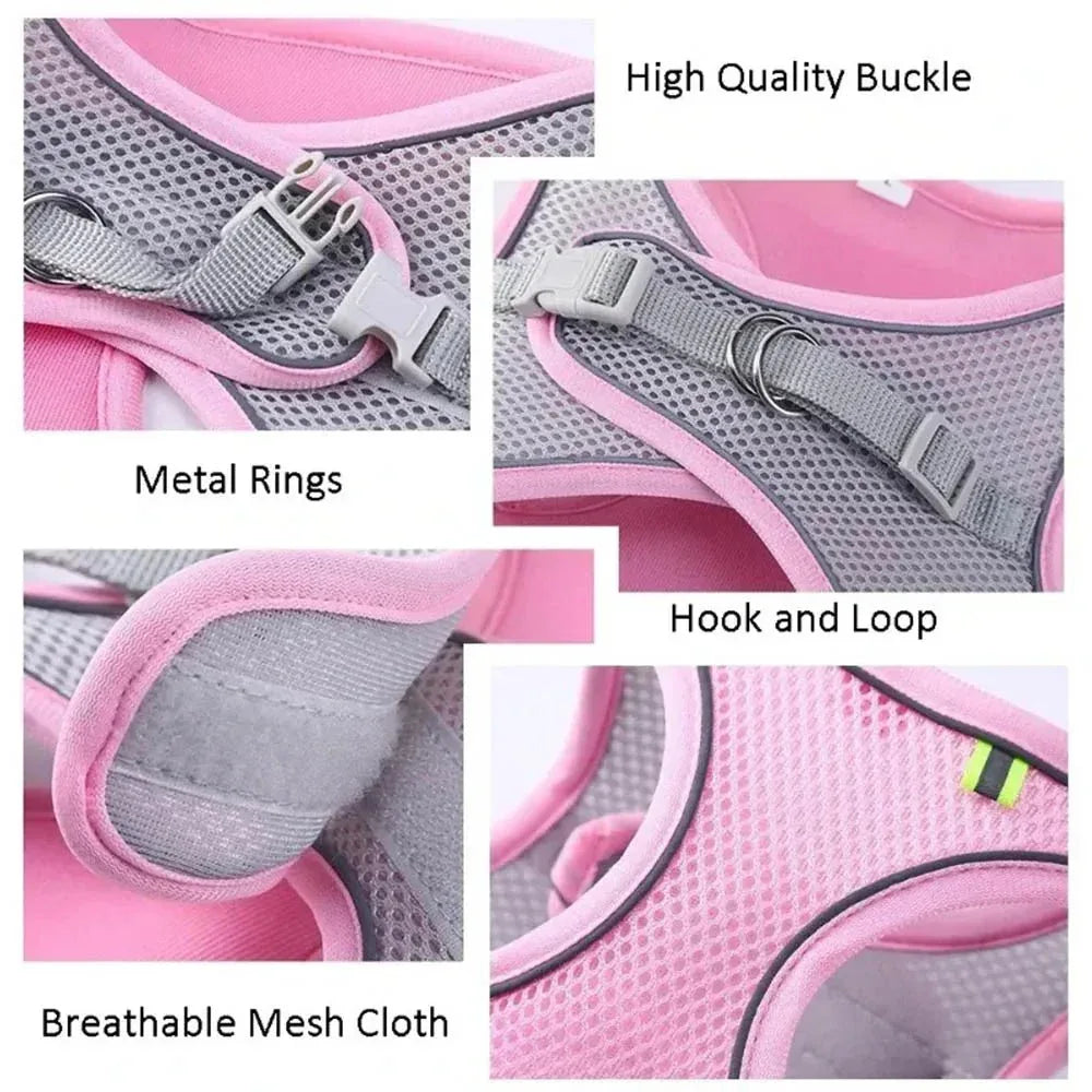 Dog Harness & Collar Set - Happy Tails - paws & love