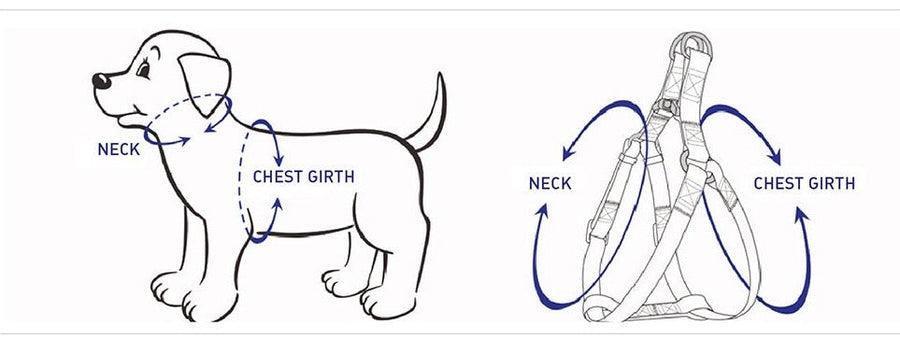 Floral Elegance Set - Happy Tails - paws & love