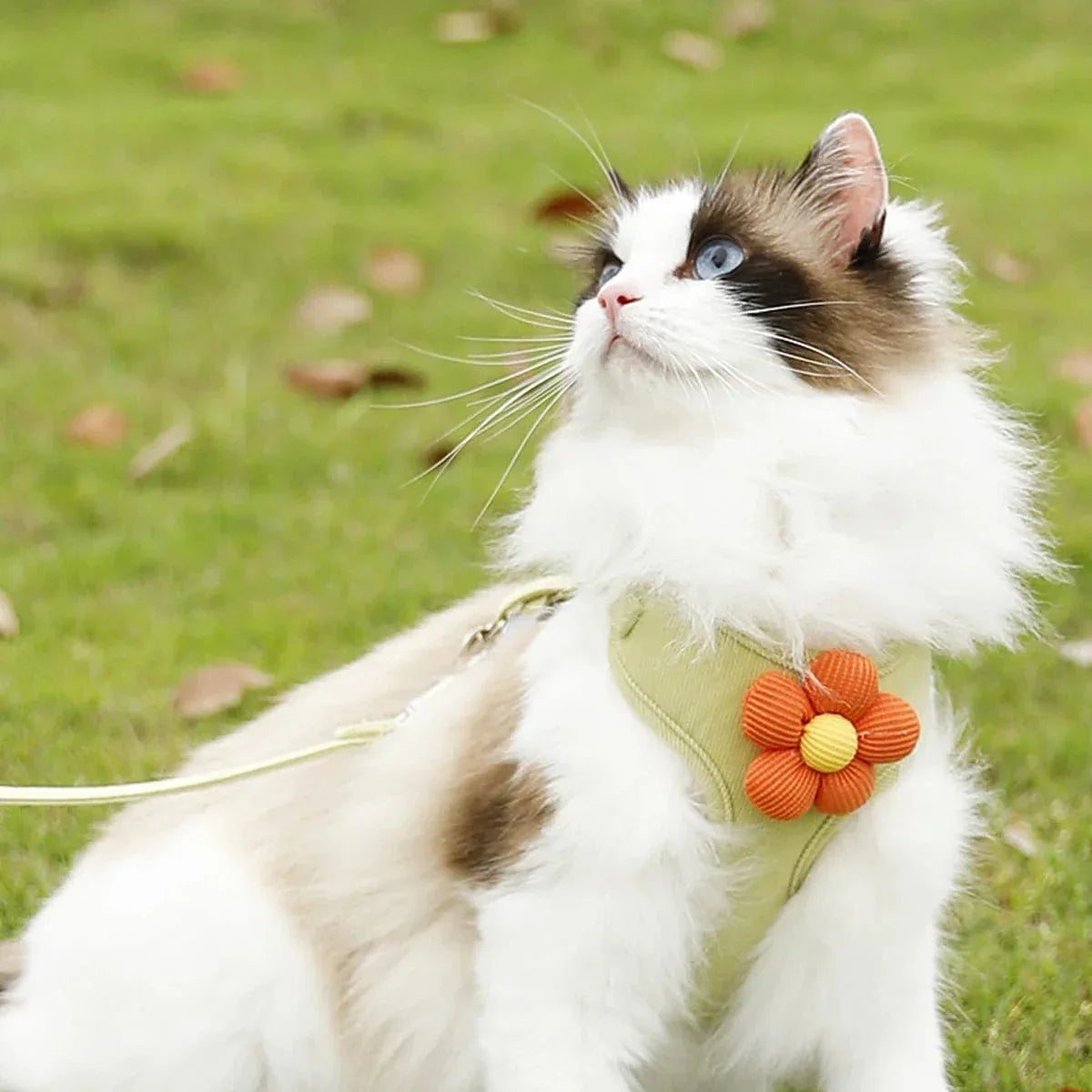 Cat Harness - Ultimate Comfort - Happy Tails - paws & love