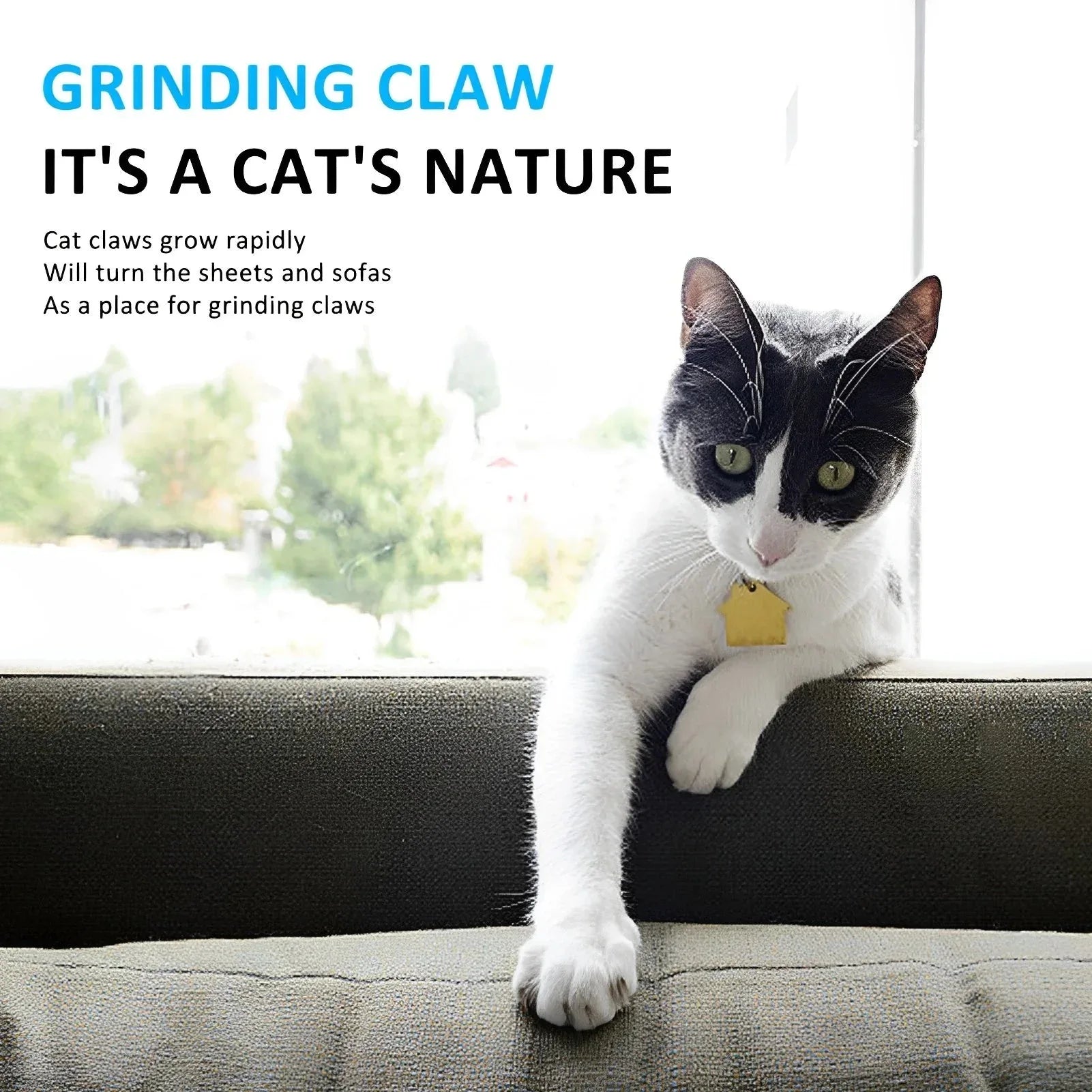 PawPal Cat Scratching Board - Eco-Friendly Design for Happy Claws - Happy Tails - paws & love