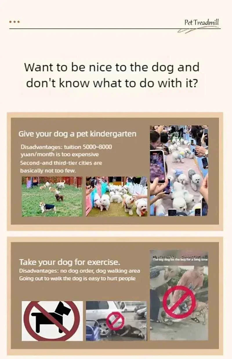 Pet Treadmill for Dogs and Cats - Happy Tails - paws & love