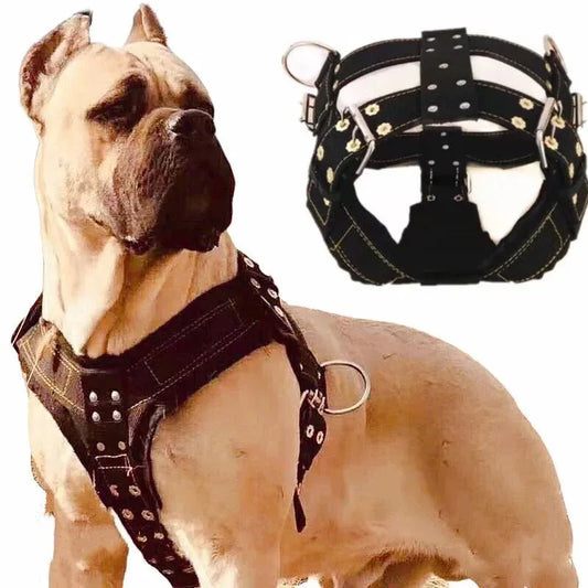 Large Dog Collar - Happy Tails - paws & love