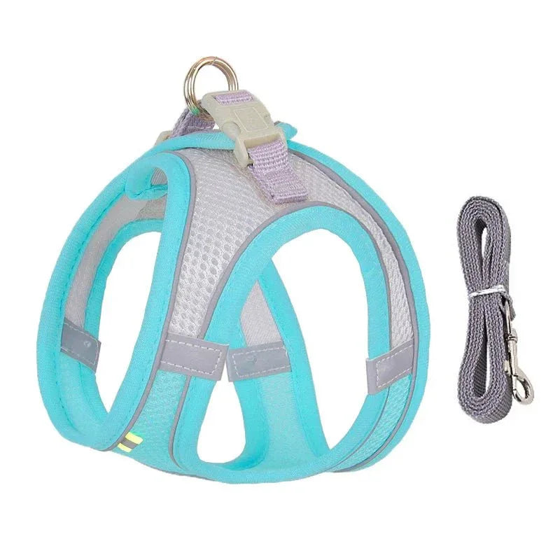 Leash & Harness Set for Small Dogs - Happy Tails - paws & love