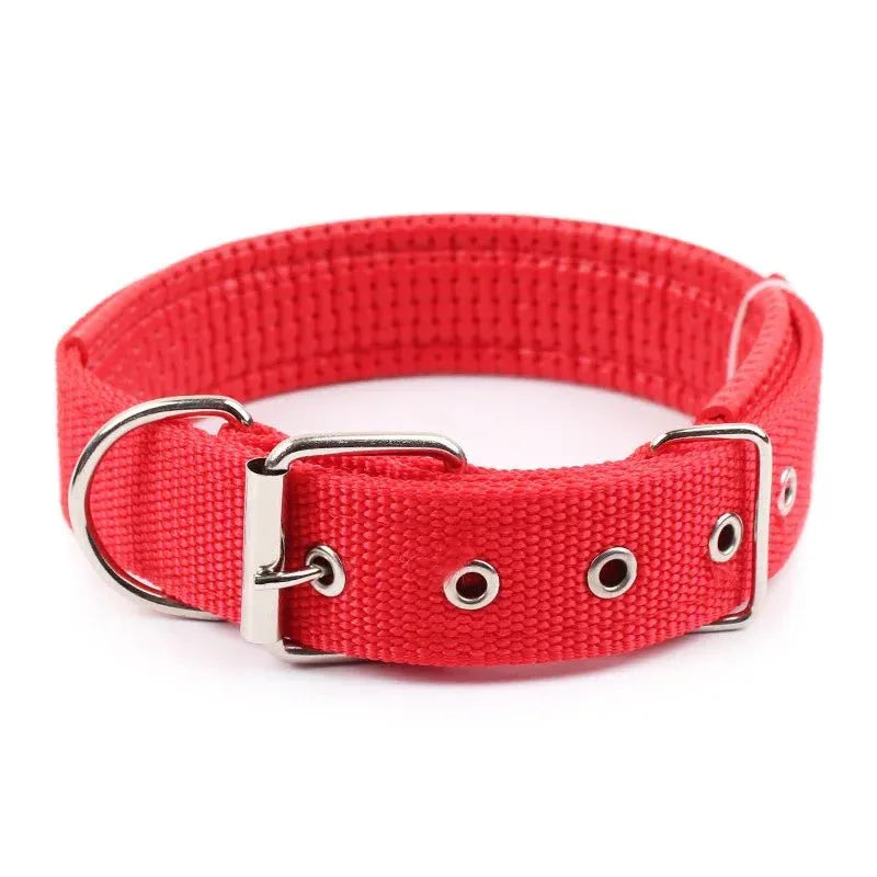 Solid Nylon Dog Collars - Happy Tails - paws & love