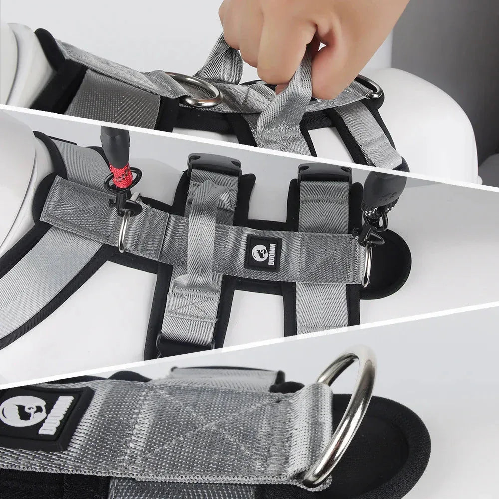 Reflective Pet Harness for Easy Control - Happy Tails