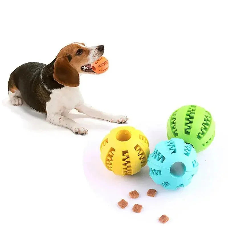 Dog Snack Feeder - Happy Tails - paws & love