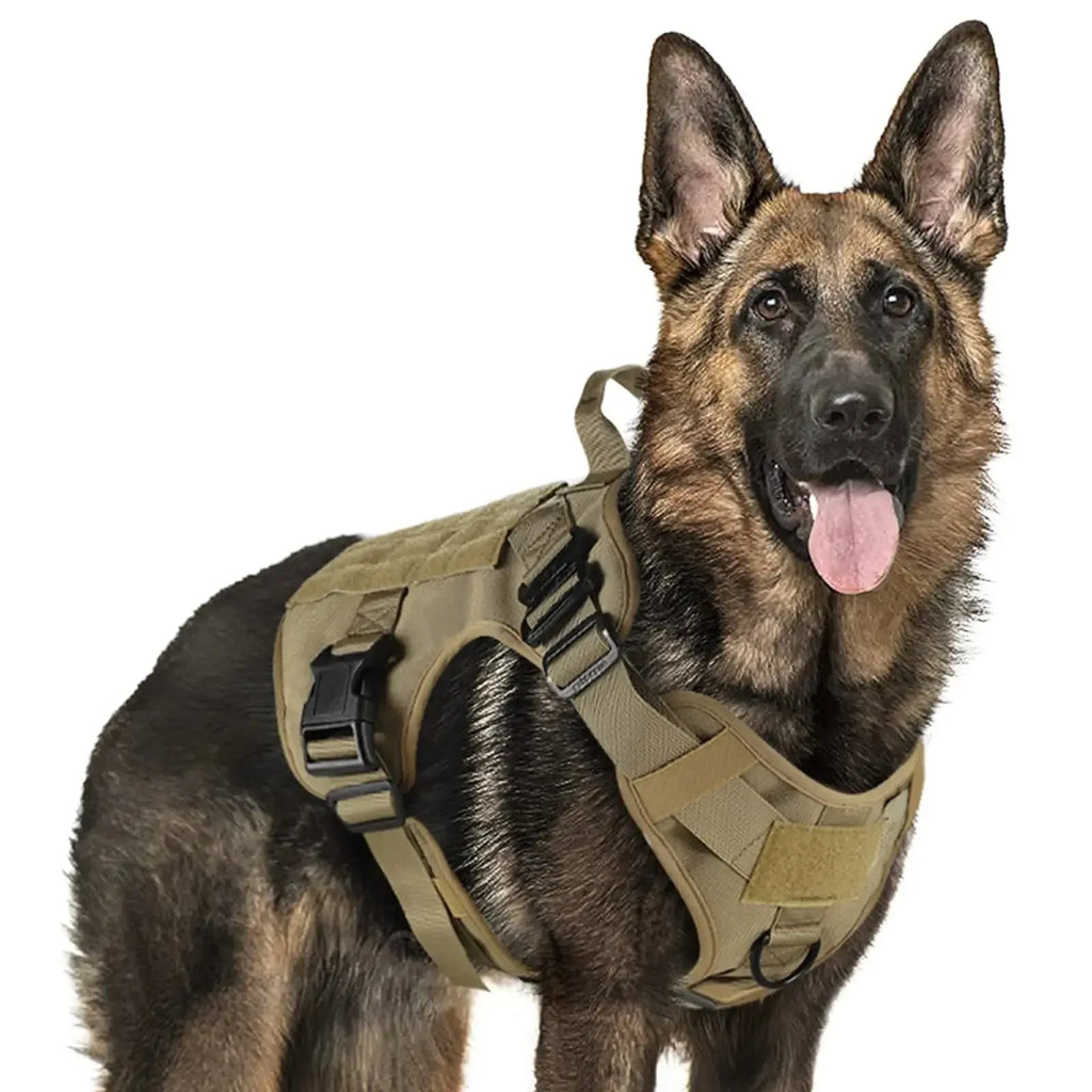 Military Dog Harness for Training - Happy Tails - paws & love