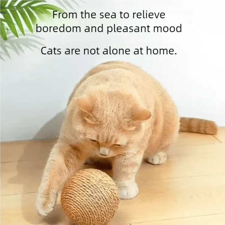 Cat Scratching Ball - Interactive Toy - Happy Tails - paws & love