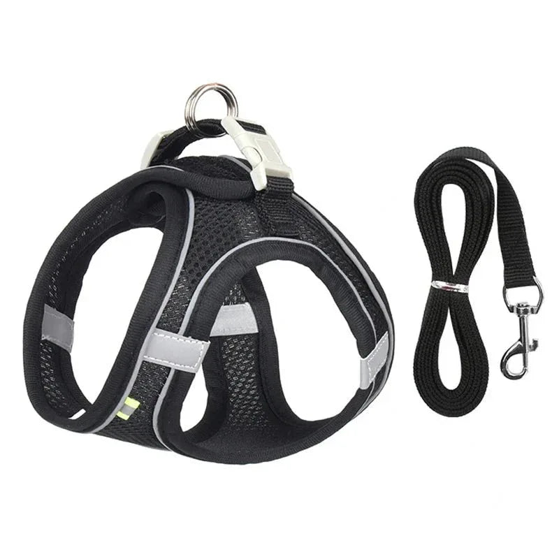 Leash & Harness Set for Small Dogs - Happy Tails - paws & love