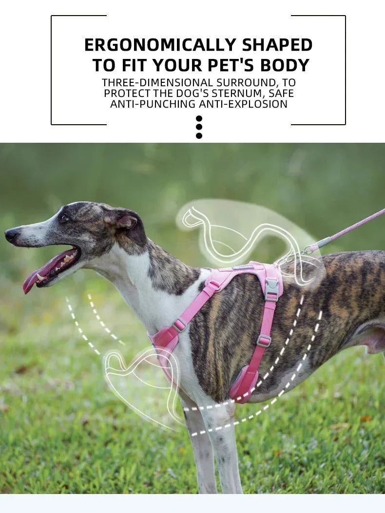 Adjustable Pet Harness - Happy Tails - paws & love