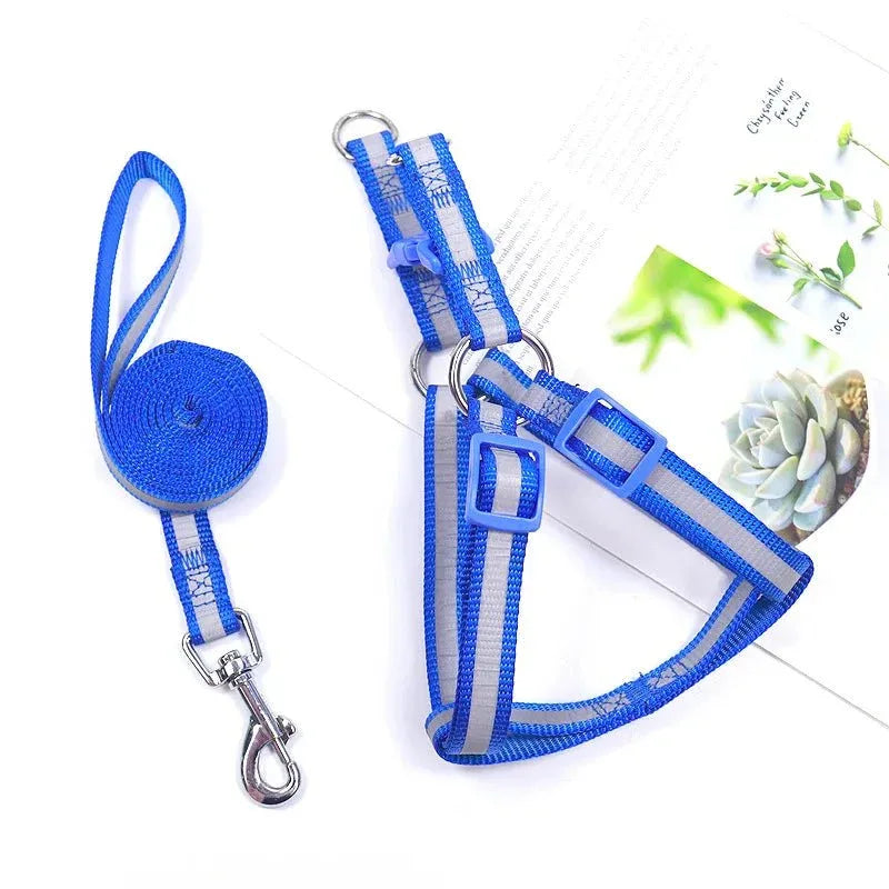 Dog Harness for Small Dogs - Happy Tails - paws & love