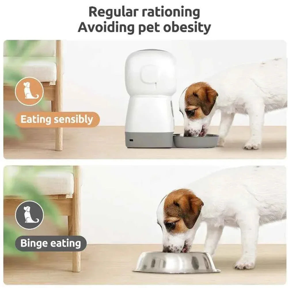 Automatic Pet Feeder - Happy Tails - paws & love
