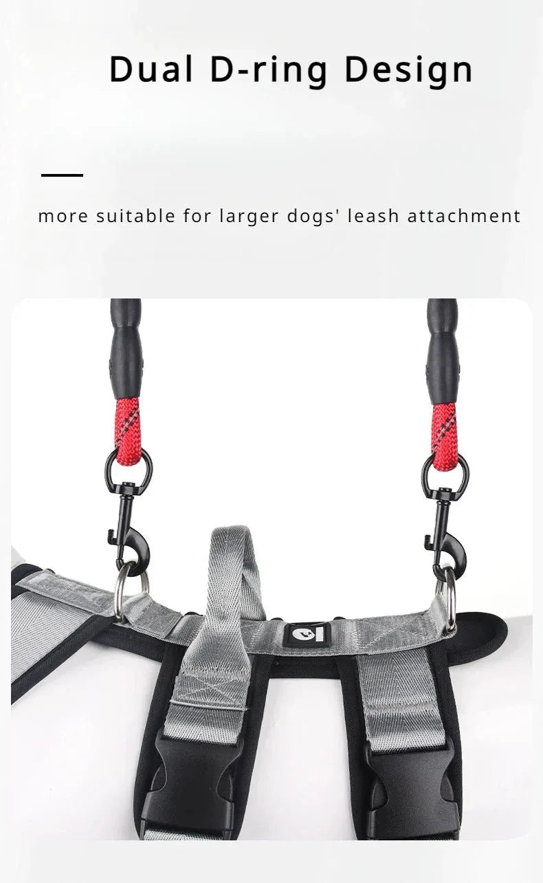 Reflective Pet Harness for Easy Control - Happy Tails