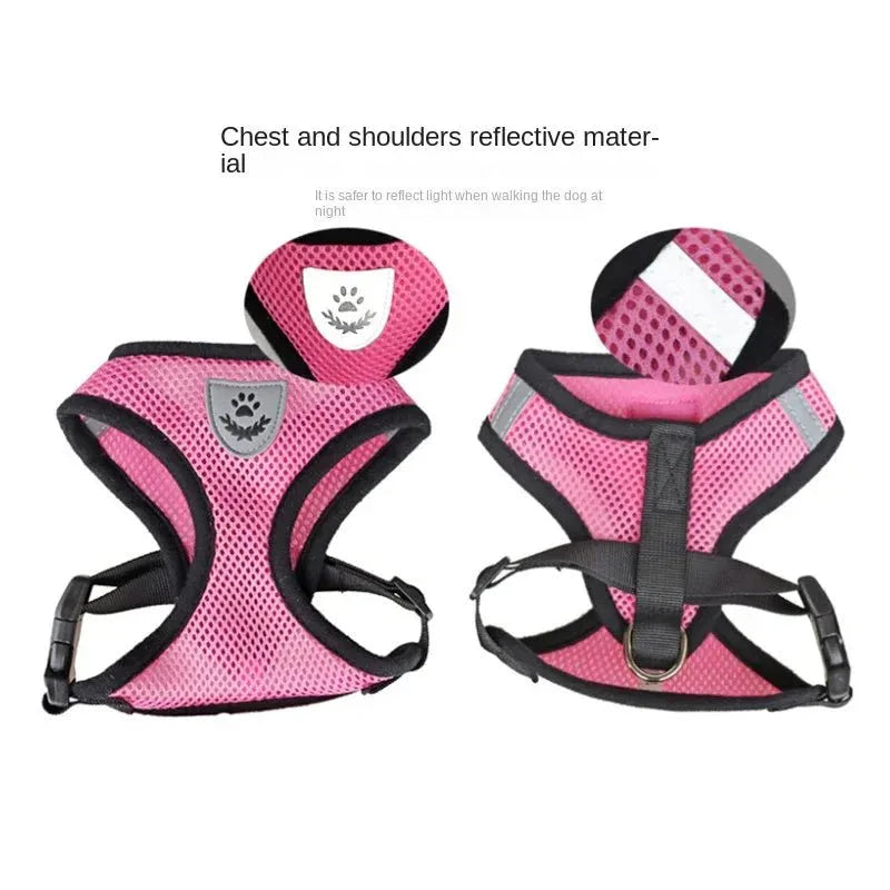 Cat & Dog Harness - Happy Tails - paws & love