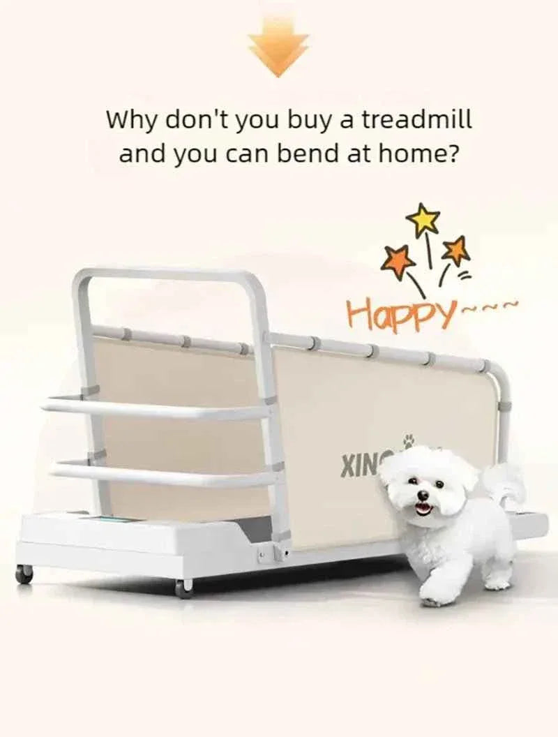 Pet Treadmill for Dogs and Cats - Happy Tails - paws & love