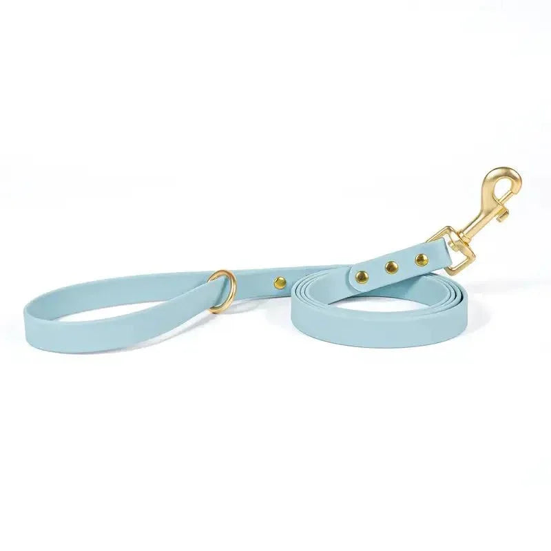 Dog Leash - Happy Tails - paws & love
