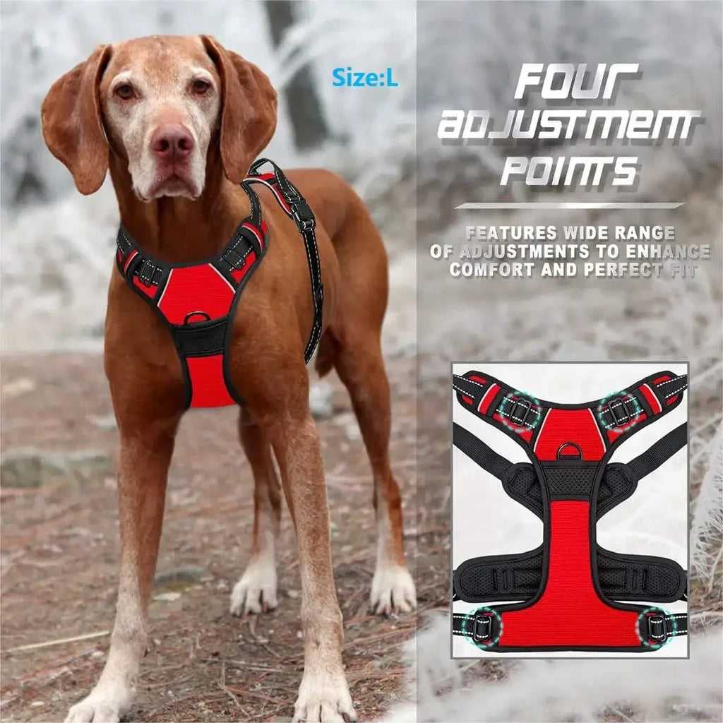 No Pull Dog Harness - Happy Tails - paws & love