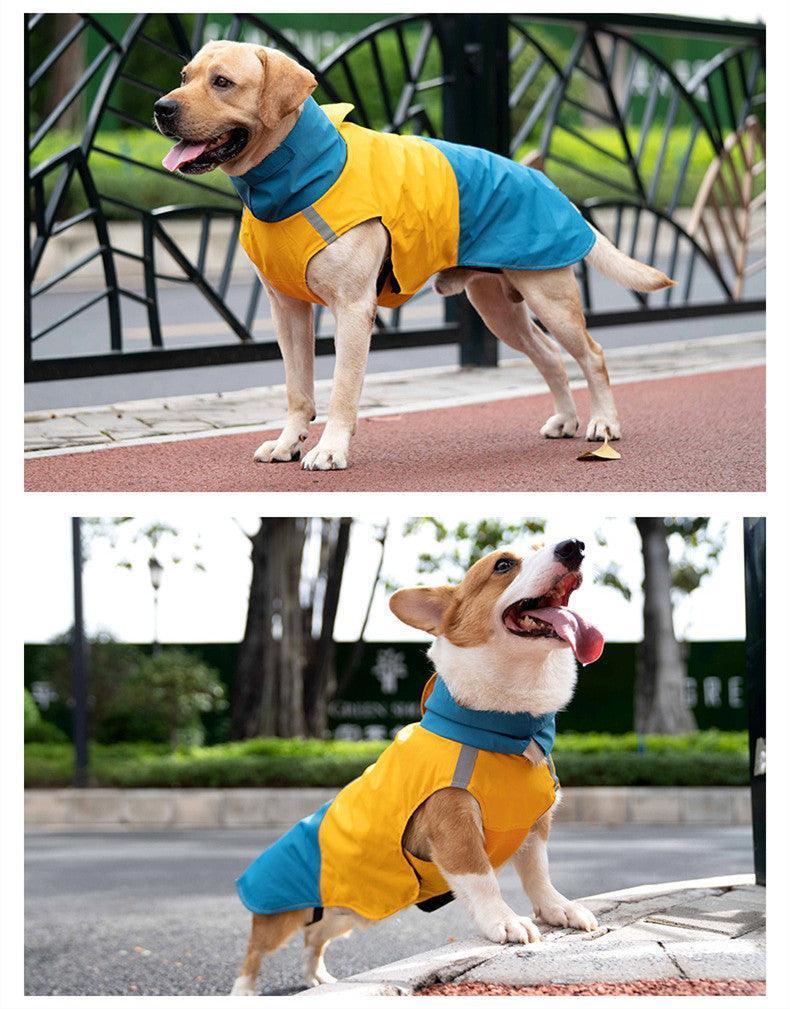 Colorblock Dog Raincoat - Happy Tails - paws & love
