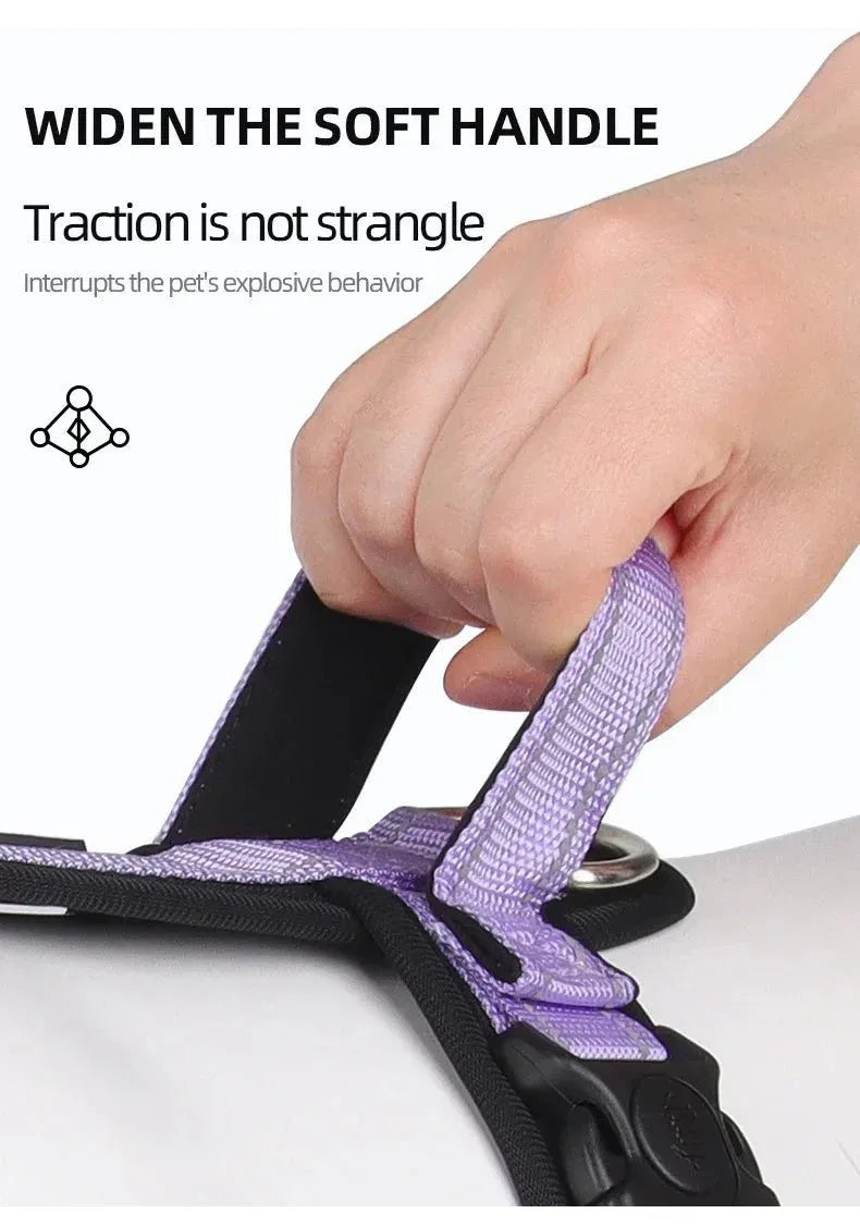 Harnesses and Wear Necklaces - Happy Tails - paws & love