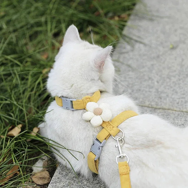 Cat Harness & Leash Set - Happy Tails - paws & love
