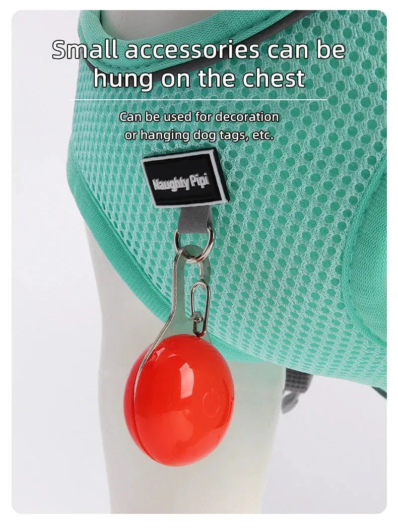 Dog Harness for Small dog - Happy Tails - paws & love