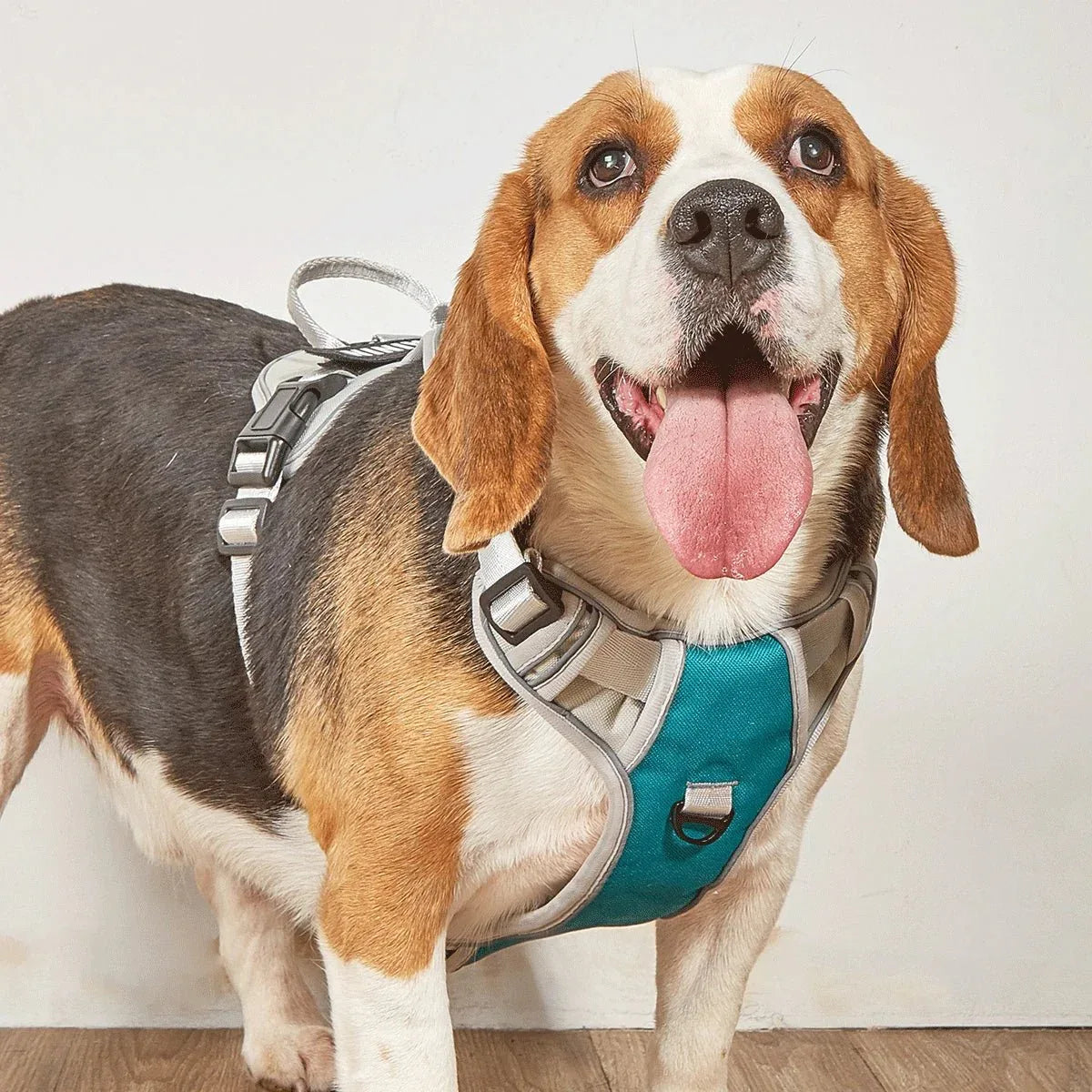 Dog Harness No Pull - Happy Tails - paws & love