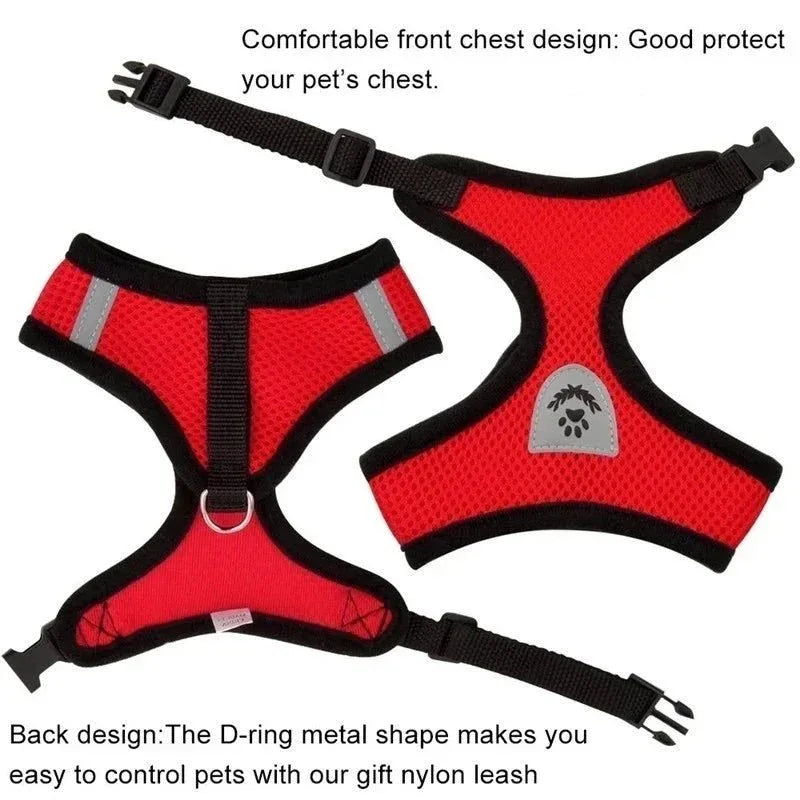 Cat Harness for Outdoor Adventures - Happy Tails - paws & love