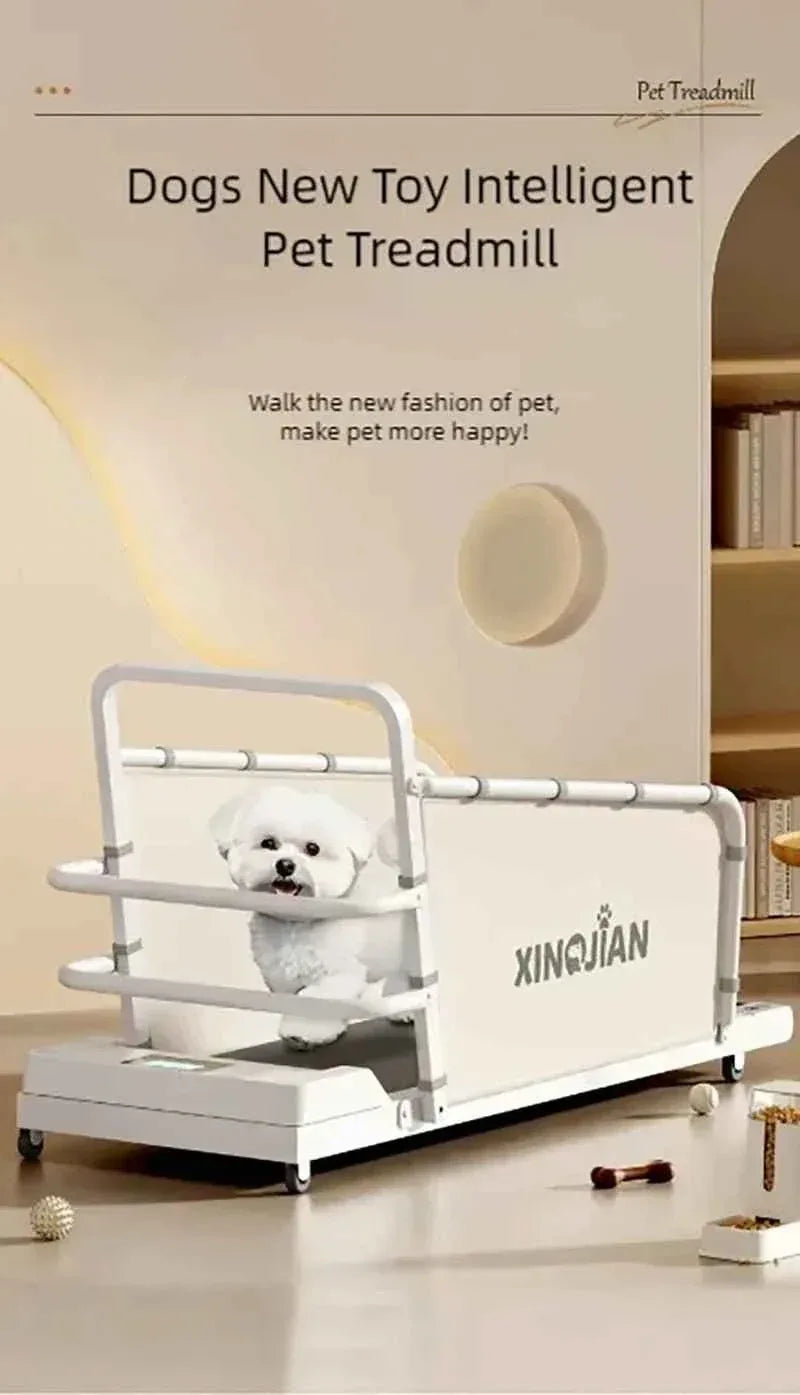 Pet Treadmill for Dogs and Cats - Happy Tails - paws & love