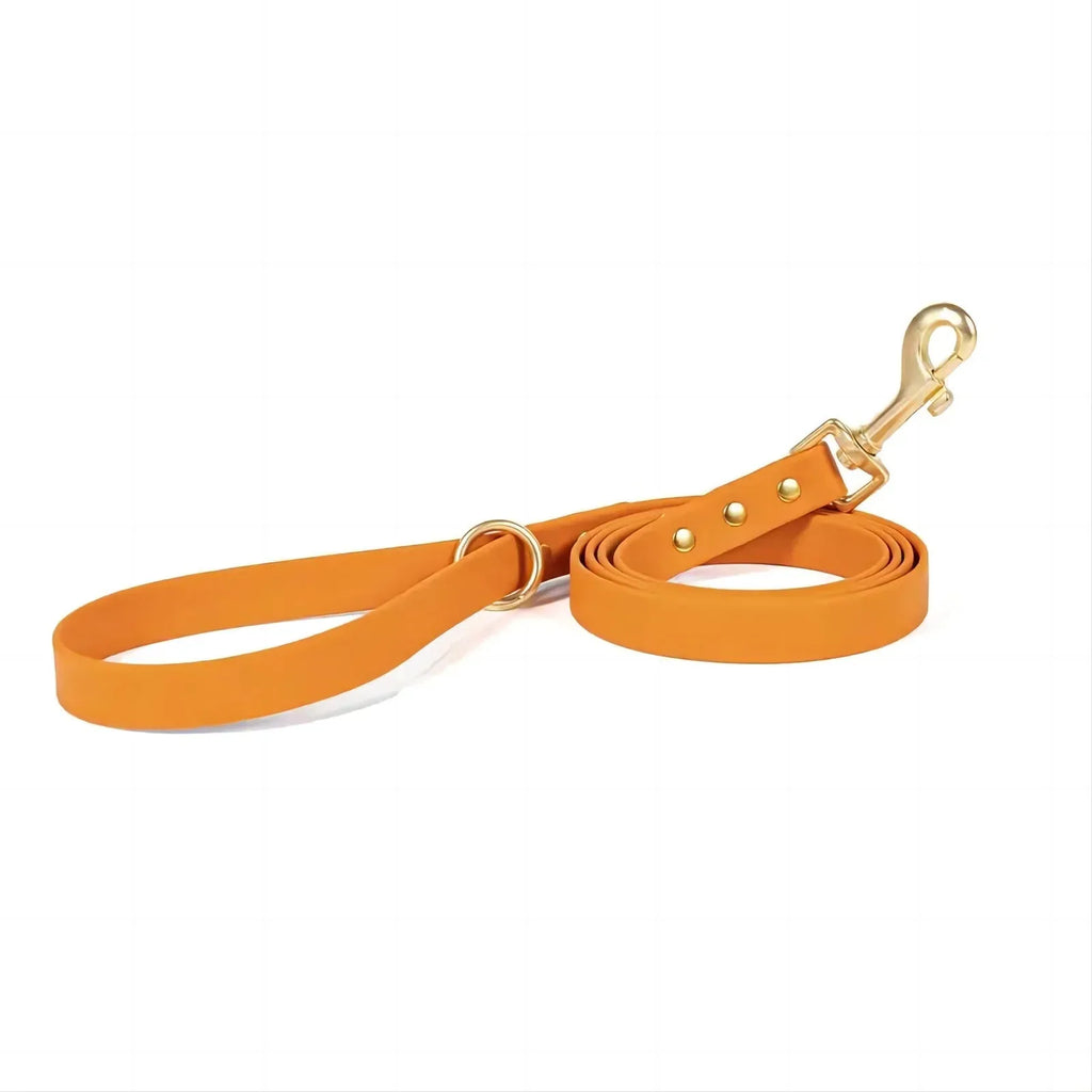 Dog Leash - Happy Tails - paws & love