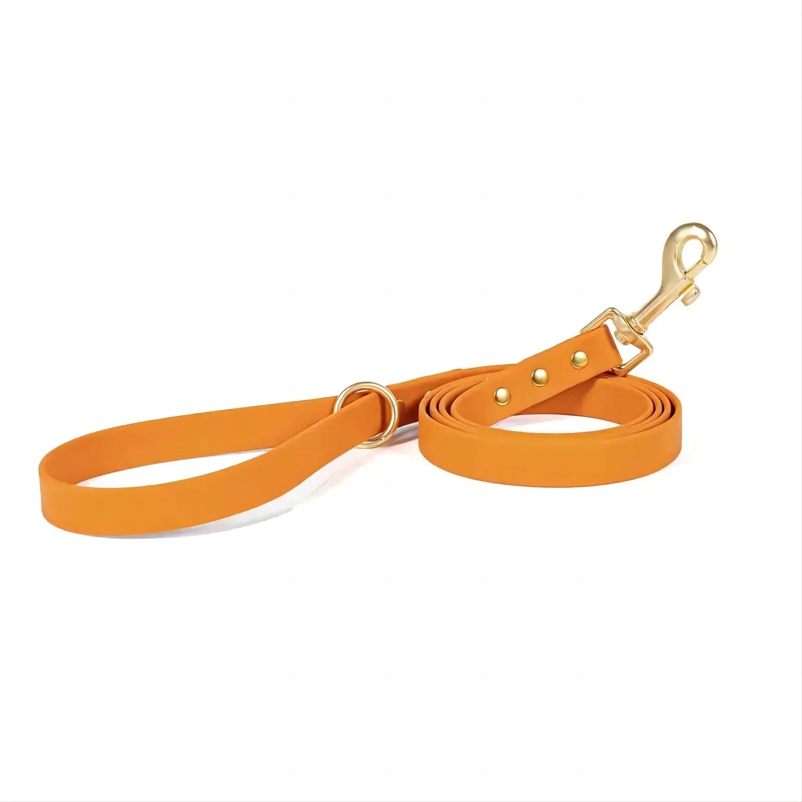 Dog Leash - Happy Tails - paws & love