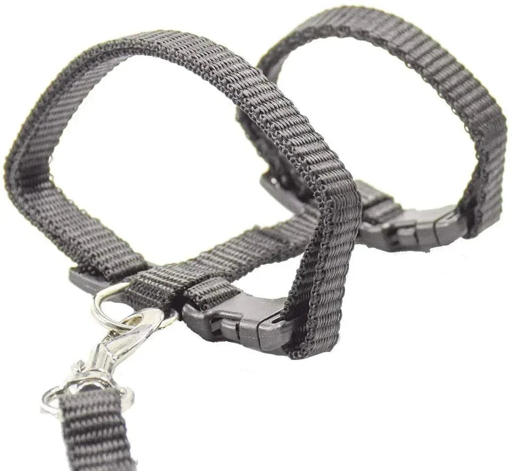 Kitten Adventures Harness & Leash Set - Happy Tails