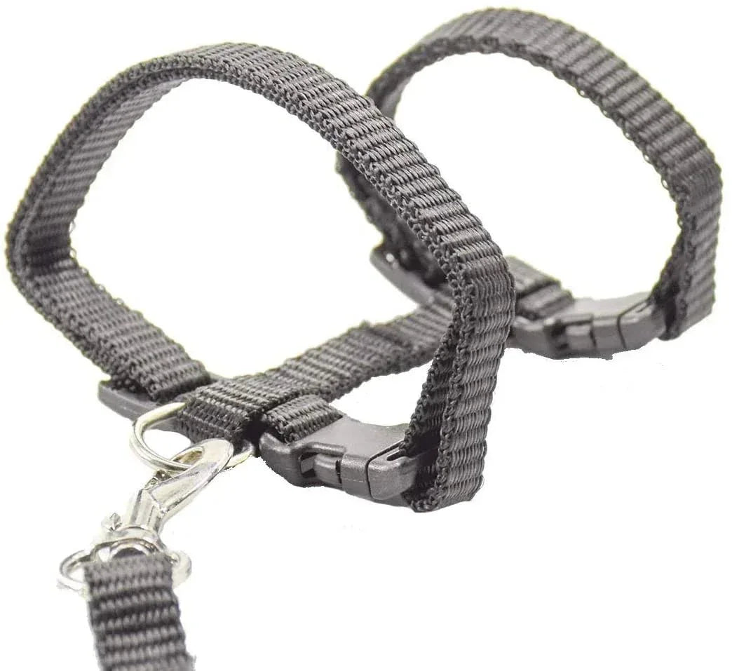 Kitten Adventures Harness & Leash Set - Happy Tails