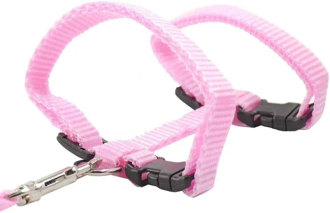 Kitten Adventures Harness & Leash Set - Happy Tails