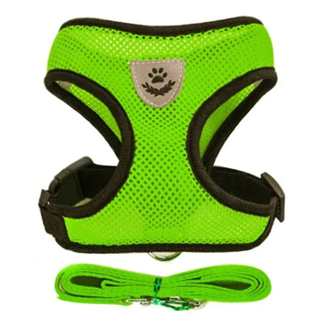 Dog Harness for Small Dogs - Happy Tails - paws & love