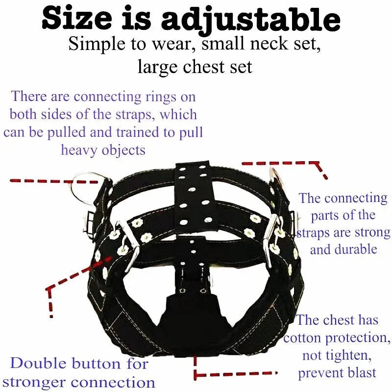 Large Dog Collar - Happy Tails - paws & love