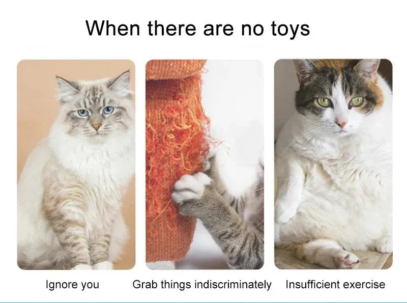 Simulation Cat Toy - Happy Tails - paws & love