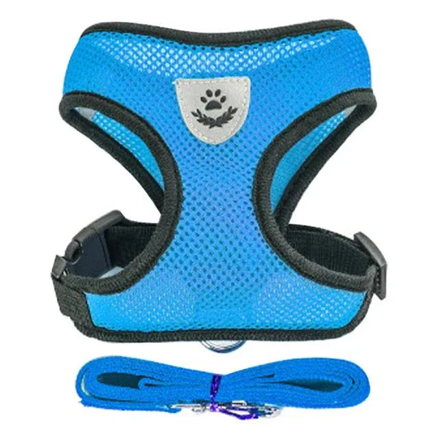 Dog Harness for Small Dogs - Happy Tails - paws & love