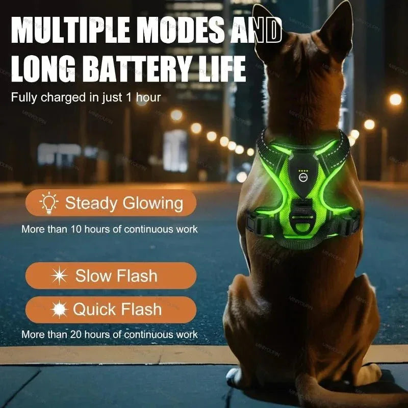 LED Dog Harness - Happy Tails - paws & love