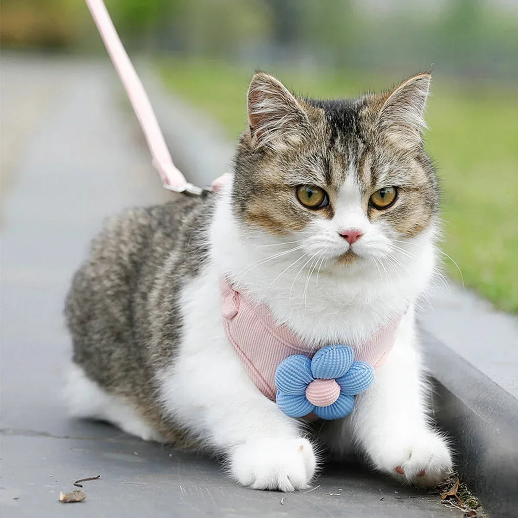 Cat Harness - Ultimate Comfort - Happy Tails - paws & love