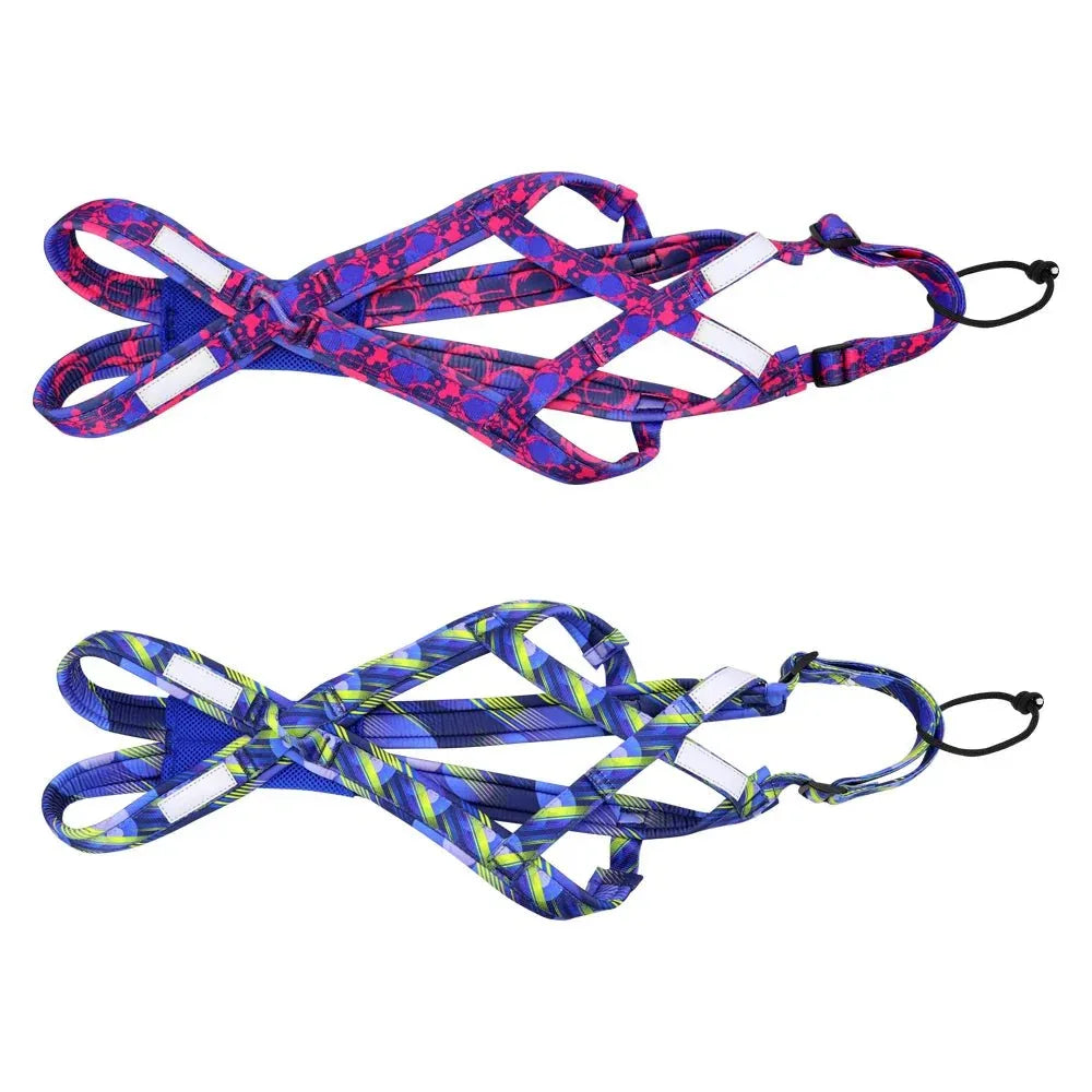 Dog Sledding Harness - Happy Tails - paws & love