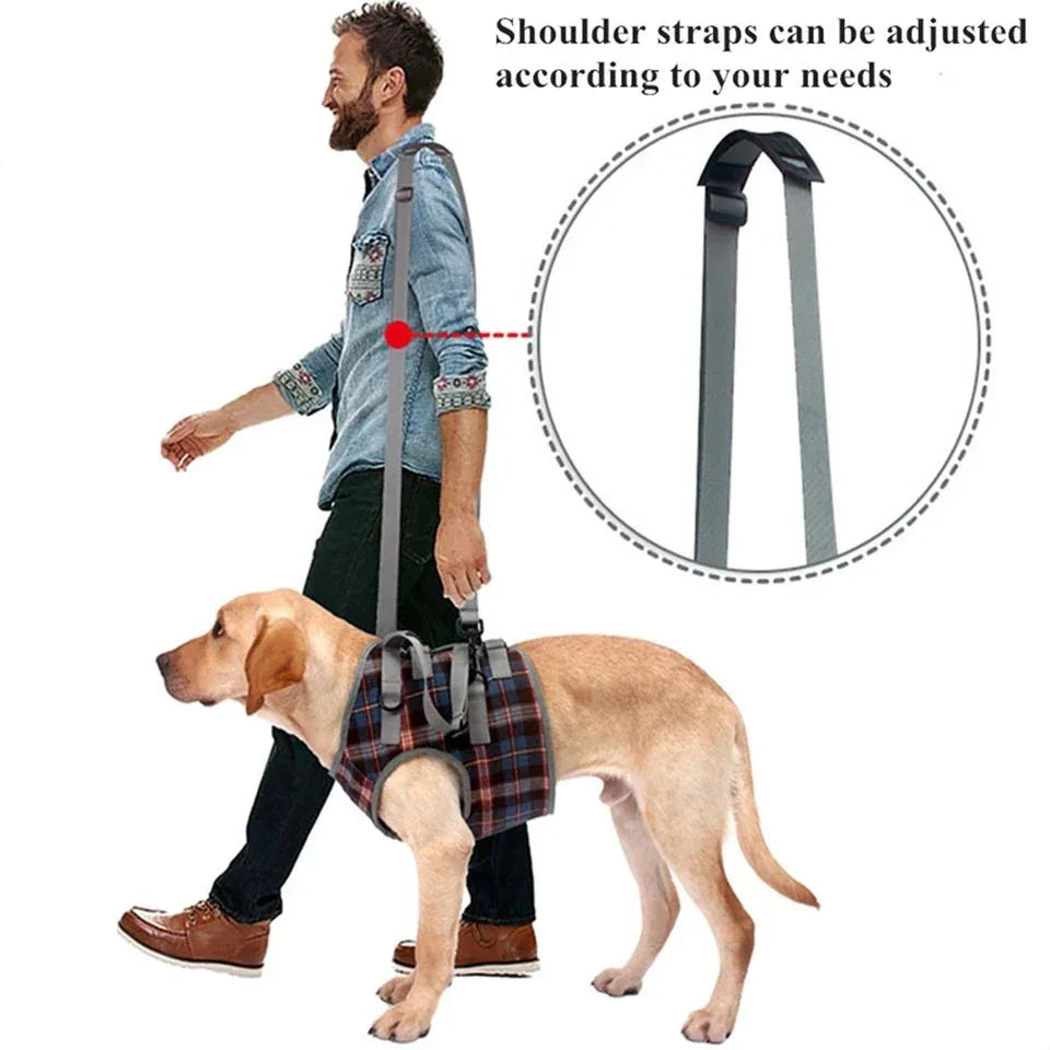Dog Support Harness - Happy Tails - paws & love