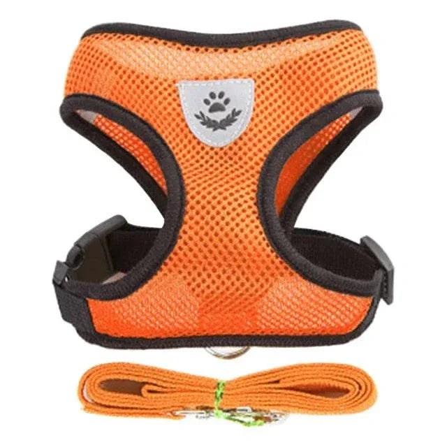 Feline Freedom Cat Harness - Happy Tails - paws & love