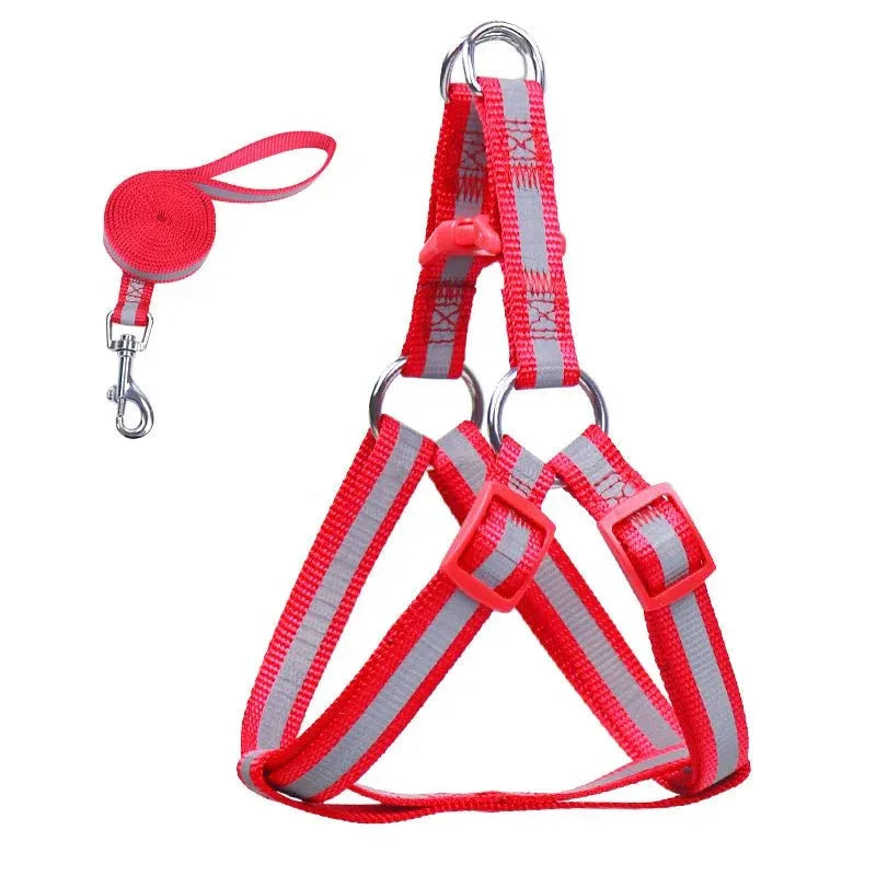 Dog Harness for Small Dogs - Happy Tails - paws & love