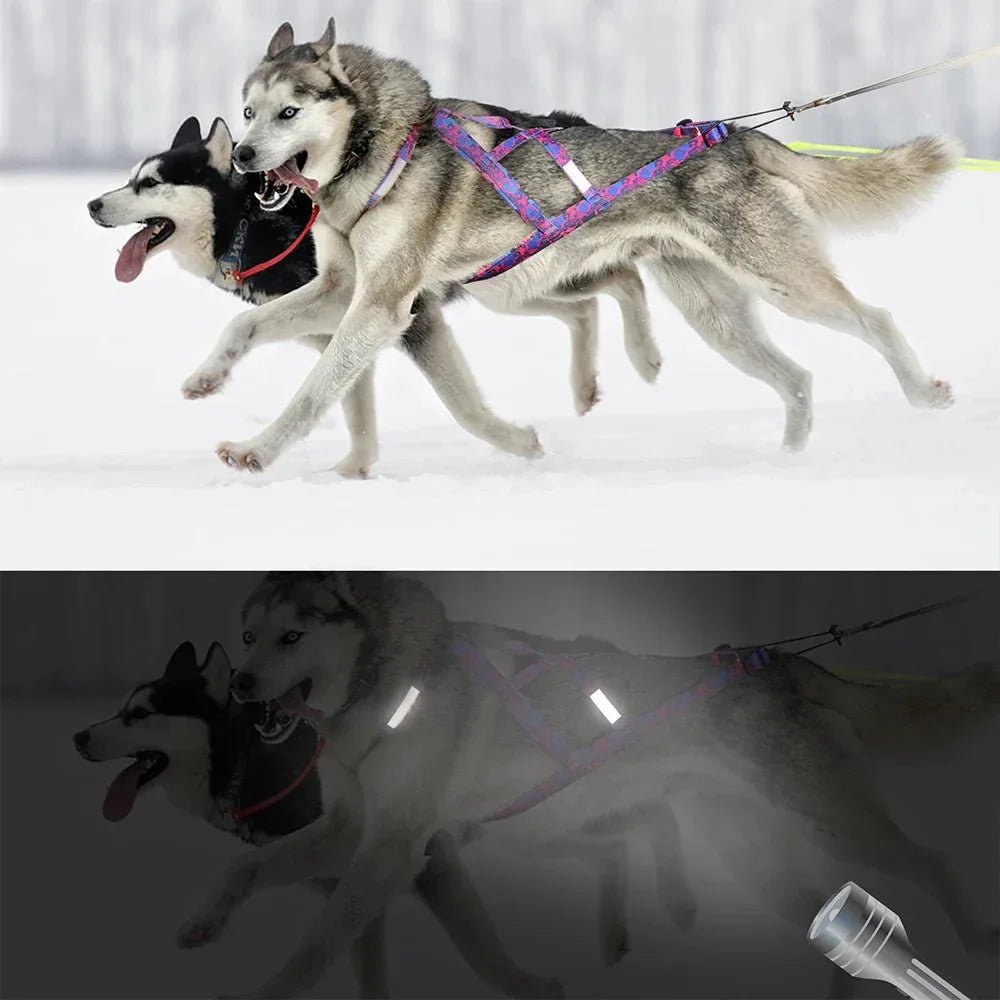Dog Sledding Harness - Happy Tails